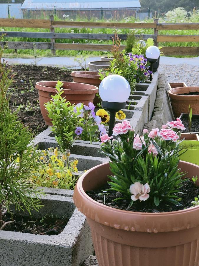 Bobakowe Zacisze Villa Zakopane Eksteriør billede